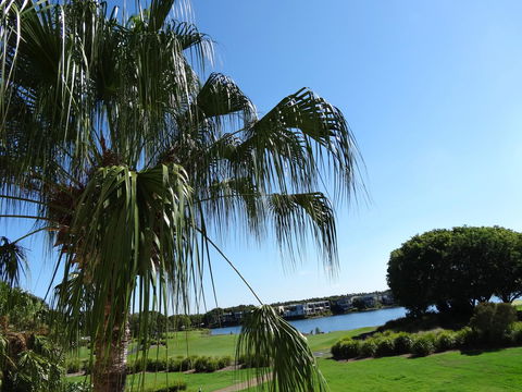 Waterfront Resort Villa With Buggy - Accommodation Mooloolaba 33