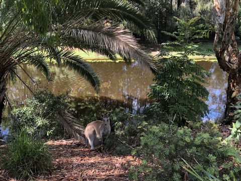 Waterfront Resort Villa With Buggy - Accommodation Mooloolaba 25