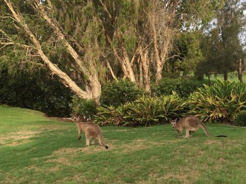 Waterfront Resort Villa With Buggy - Accommodation Mooloolaba 19