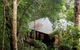 Cairns Rainforest Retreat - thumb 0