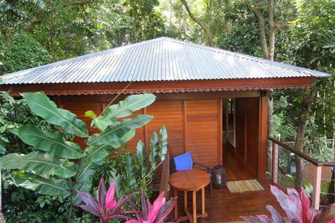 Cairns Rainforest Retreat - Accommodation Mooloolaba 5
