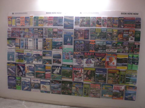 Cairns Rainforest Retreat - Accommodation Mooloolaba 1