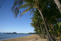 BeachView Apartments at Villa Paradiso