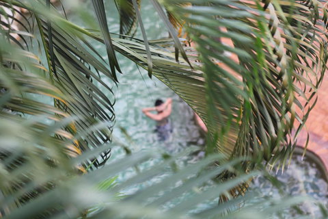 Coral Tree Inn - Accommodation Mooloolaba 36