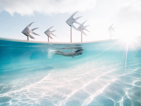 Coral Tree Inn - Accommodation Mooloolaba 39