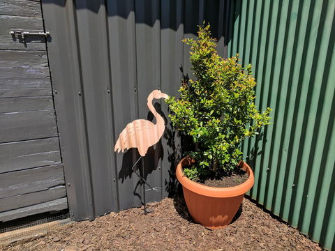 Lilly Pilly House - Accommodation Mooloolaba 10