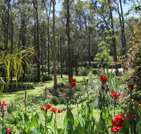 Werekataba - Accommodation Mooloolaba