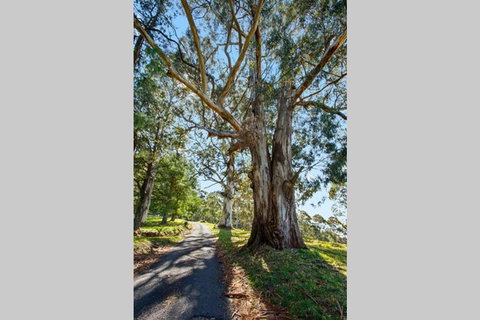 WOOLWAY - Accommodation Mooloolaba 1