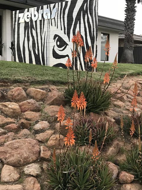 Zebras Guest House Geraldton - Accommodation Mooloolaba 1