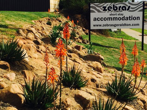 Zebras Guest House Geraldton - Accommodation Mooloolaba 2
