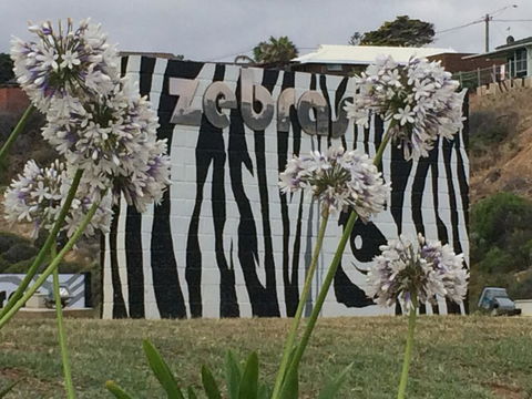 Zebras Guest House Geraldton - Accommodation Mooloolaba 0
