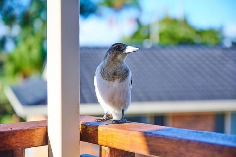 A Kids Dream & Paradise For Parents - Accommodation Mooloolaba 2