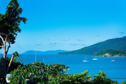 Airlie Bay View - Accommodation Mooloolaba 2