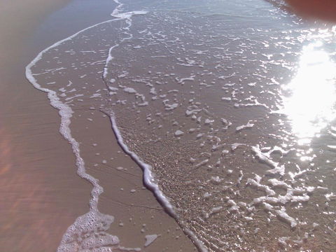 Close To Surf Beach, Surf Club, Hotel And Shops - Boyd St, Woorim - Accommodation Mooloolaba 10