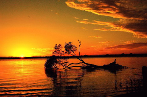 Fishing And Swimming At Your Doorstep - Sylvan Beach Esp, Bellara - Accommodation Mooloolaba 2