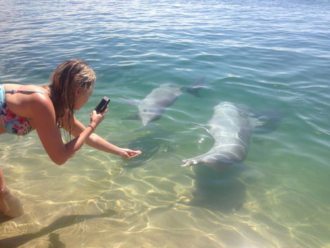 Sea Shanties - Accommodation Mooloolaba 10