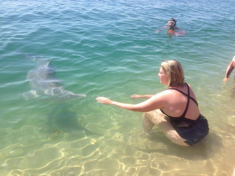 Sea Shanties - Accommodation Mooloolaba 4