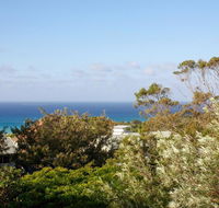 Seagrass - Accommodation Mooloolaba