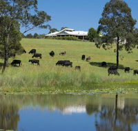 'Talumberi' 221 Trapyard Road - Accommodation Mooloolaba