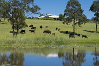 Book Nabiac Accommodation Vacations Accommodation Mooloolaba Accommodation Mooloolaba