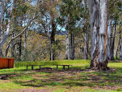 Cabin 3 - Snowy Accommodation - Accommodation Mooloolaba 4