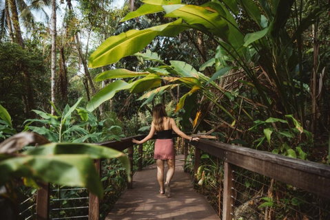 Daintree Ecolodge - Accommodation Mooloolaba 1