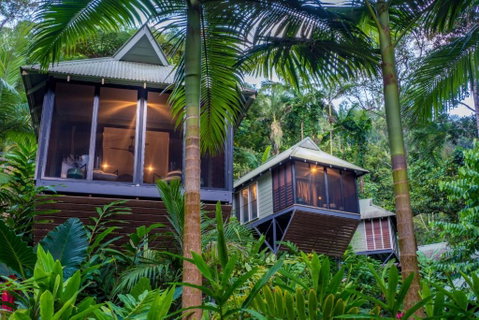 Daintree Ecolodge - Accommodation Mooloolaba 0