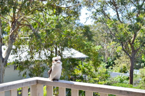 Dalesview Retreat - Bring Your Own Linen - Accommodation Mooloolaba 1