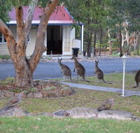 31 The Rocks - Accommodation Mooloolaba