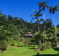 A Daintree Garden - Accommodation Mooloolaba