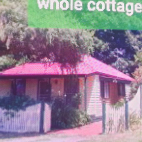 Abelia Cottages Botanical - Accommodation Mooloolaba 3