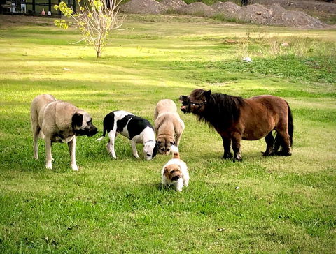 Absolute Riverfront Shipping Container Cabin - Accommodation Mooloolaba 2