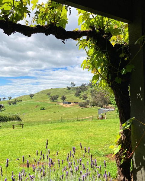 Elevation652 At Mt Bellevue In King Valley - Accommodation Mooloolaba 2