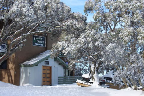 Alpine Retreat Mt Buller - Accommodation Mooloolaba 0