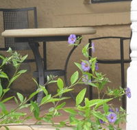 Amalie Cottage Waikerie - Accommodation Mooloolaba