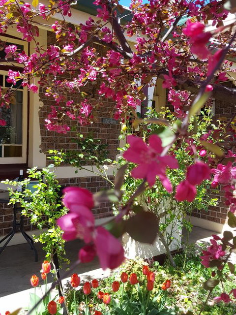 Arden On McLachlan - Accommodation Mooloolaba 3