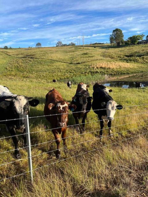 Modern Farmhouse - Accommodation Mooloolaba 3