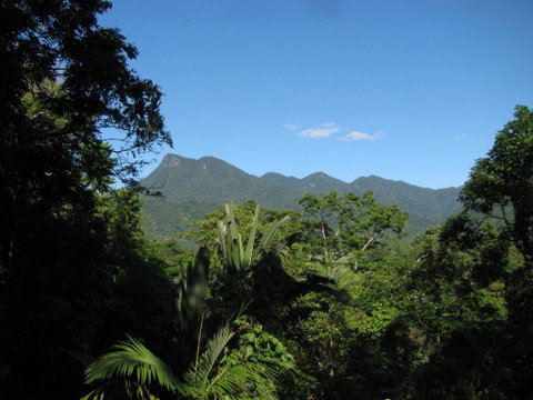 Mossman Gorge Bed And Breakfast - Accommodation Mooloolaba 0