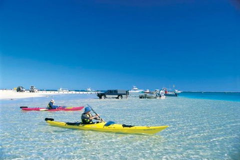 Ningaloo Club Backpackers - Accommodation Mooloolaba 2
