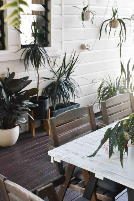 Noosa Junction Cottage : Walk To Hastings/Pet F - Accommodation Mooloolaba 3