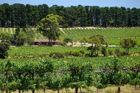 Picturesque Vineyard Farmhouse Nestled On 40-Acres - Accommodation Mooloolaba 0