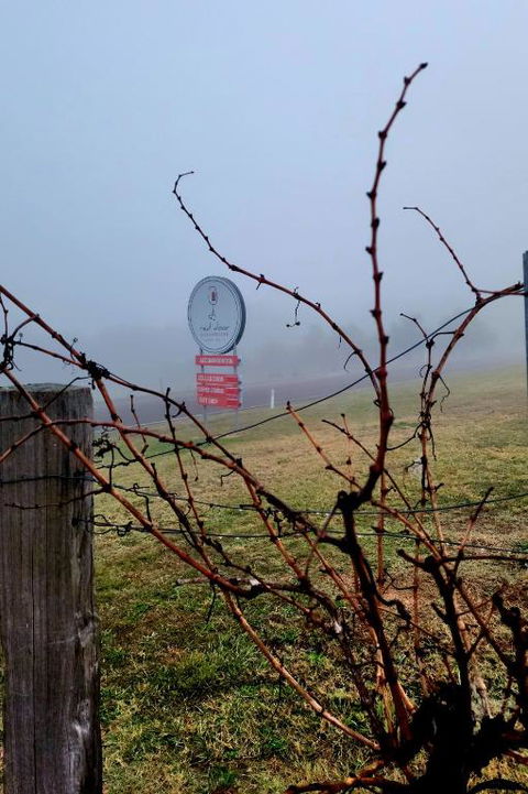 Red Door Collective - RDC Vineyard Estate, Luxury Adult Only Stay - Accommodation Mooloolaba 3