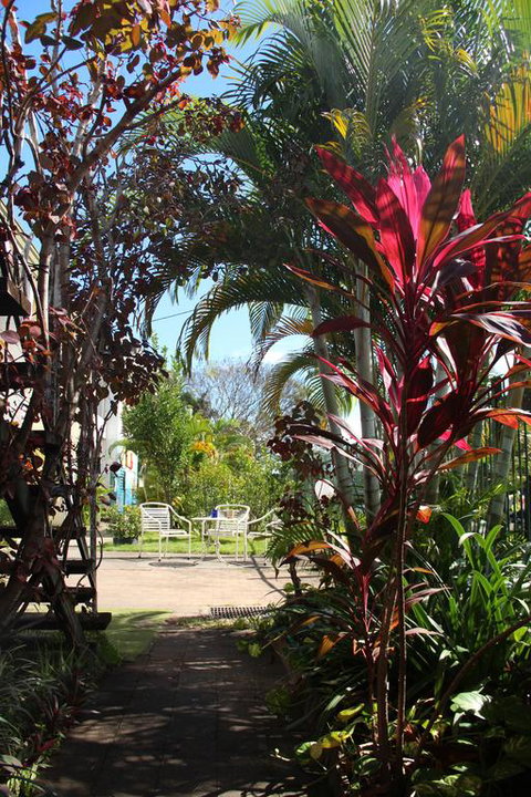 Asylum Cairns Hostel - Accommodation Mooloolaba 0