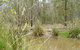 Back To The Bush - thumb 2