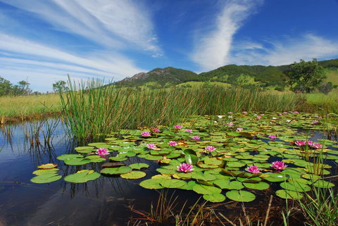 Barrington Hideaway- River Cottages - Accommodation Mooloolaba 0