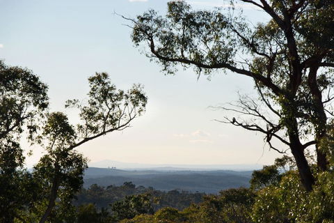 Barwidgee - Accommodation Mooloolaba 2