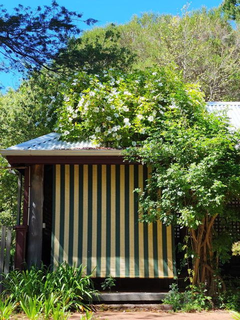 Redgum Hill Country Retreat - Accommodation Mooloolaba 3