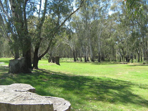 Rivergum Holiday Park - Accommodation Mooloolaba 2