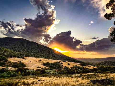 Roam Merrijig - Luxury Stay With Mountain Views - Foothills Of Mt Buller - Accommodation Mooloolaba 1