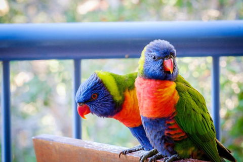 Sanctuary Lake Apartments - Accommodation Mooloolaba 1